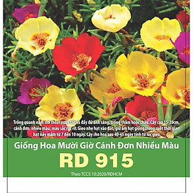 Mua Hạt Giống Hoa Mười Giờ Cánh Đơn Nhiều Màu RD915 100 Hạt