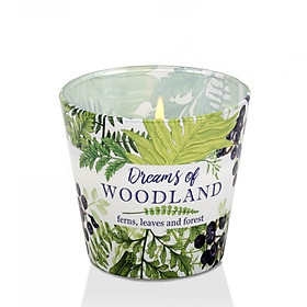 Ly nến thơm Bartek Candles BAT5222 Dream of Woodland 115g (Hương cây dương sỉ)