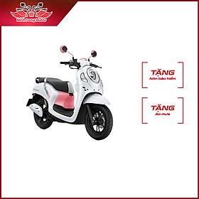 Xe Tay Ga Honda Scoopy Club