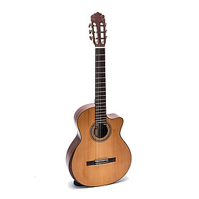 Đàn Guitar Classic DC450J guitar Việt Nam