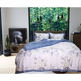 Bộ ga gối 4 món lụa tencel Hàn Julia 872BK18