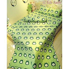Mua VỎ GỐI ÔM POLY MÀU GHI HỌA TIẾT ếch xanh