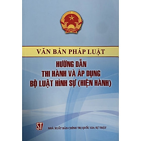 Văn bản Pháp luật Hướng dẫn thi hành và áp dụng Bộ luật Hình sự (Hiện hành)