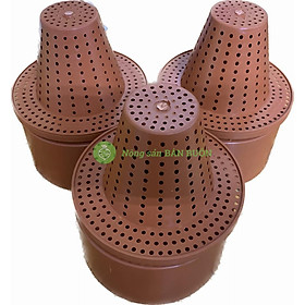 COMBO 3 Cốc điều hòa thông minh loại vừa 17x14x10cm - Phụ kiện trồng Lan thông minh cho HOA PHONG LAN