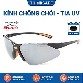 Mua Kính bảo hộ Everest EV304 Kính chống bụi chống tia UV  mắt kính chống bám hơi nước  chống trầy xước  dùng lao động  đi xe máy - EV304 Smoke Mirror Anti Frog