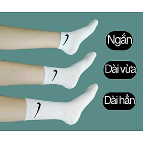 Combo 5 đôi tất thời trang phong cách Hàn Quốc sành điệu