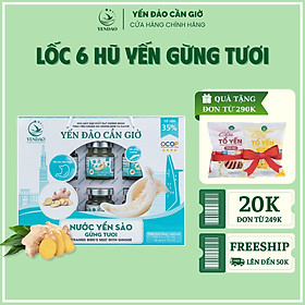 Yến Đảo - Hũ Yến Chưng Gừng Tươi Tổ Yến Xanh Bổ Dưỡng Sức Khỏe, Quà Tặng Cao Cấp 6 Lọ 70ml