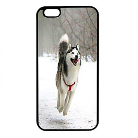 Ốp lưng cho điện thoại Iphone 6S Plus CB 25 - Hàng chính hãng