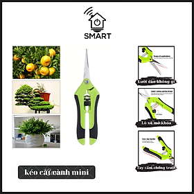 Mua Dụng Cụ Cắt Tỉa Cây Cầm Tay Chất liệu Thép Không Gỉ Tặng kèm xẻng làm vườn mini