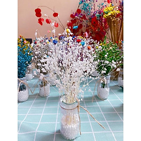 Mua Lọ hoa sao đuôi công khô lọ hoa khô để bàn quán Cafe  văn phòng  decor nhà cửa phong cách cổ điển
