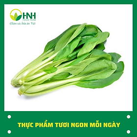[CHỈ GIAO HÀ NỘI] Cải ngọt ngon sạch – HNH Food Farm – – top1shop