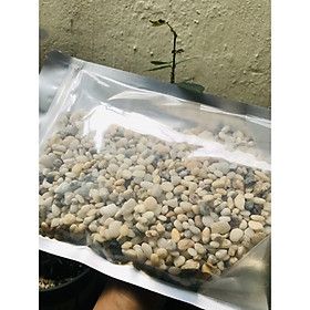 1kg đá sỏi màu hỗn hợp lớn - đá trang trí trồng cây - trang trí bể cá - tiểu cảnh sân vườn