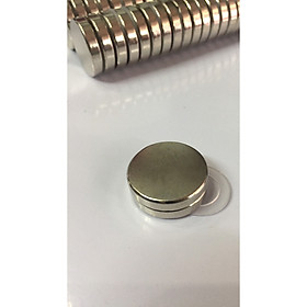 Nam châm viên đất hiếm 25x5mm (Bộ 10 viên)