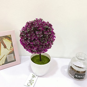 Chậu Cây Hoa Nhựa Cẩm Tú Cầu Siêu Đẹp
