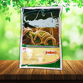 Xử lý tuyến trùng trong đất – AT Padave 1kg