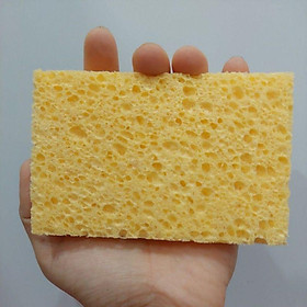 Bọt biển Cellulose Sponges
