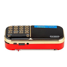 Mua LOA THẺ NHỚ CÓ FM H887
