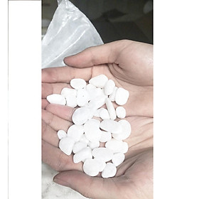 Sỏi Trắng Xếp Quanh Gốc Cây Trọng Lượng 16,5 Kg