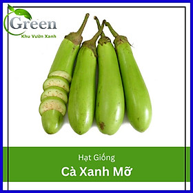 Hạt Giống Cà Xanh Mỡ Sai Trái