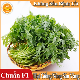 Mua Hạt giống Rau Cúc Té   Rau Tần Ô ( Gói 20 Gram ) - Nông Sản Vàng