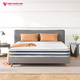 Mua Nệm Lò Xo Thuần Việt Elite 22cm - Túi Lò Xo Độc Lập Giảm Tiếng Ồn  Gấp 3 Êm Ái & Thoáng Khí - Cuộn Hút Chân Không Tiện Lợi  Dễ Dàng Vận Chuyển