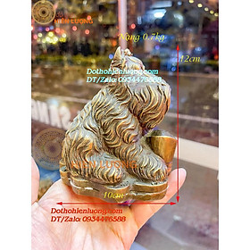 Tượng Linh Vật Chó Lông Xù Bằng Đồng Vàng Ngồi Ôm Quan Tiền Cao 12cm - Đồ Thờ Hiên Lượng