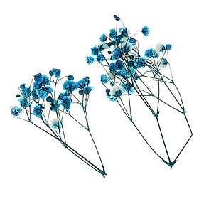 Real Dried  Leaves Bouquet Decorative - Blue