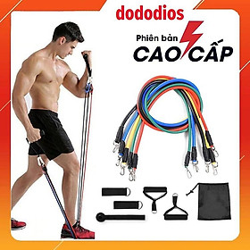 Bộ Dây Ngũ Sắc Tập Full Body Dụng Cụ Tập Gym Đa Năng Tại Nhà - Chính Hãng dododios