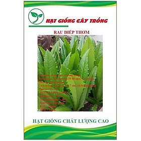 Mua Hạt giống rau diếp thơm ( cải chíp ) - Gói 3gram