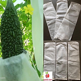 Mua 50 TÚI BAO TRÁI MƯỚP KHỔ QUA BẦU BÍ... Kích thước: 15x50cm