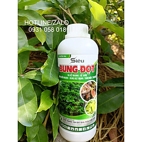 Mua PHÂN BÓN GIÚP BẬT CHỒI  BUNG ĐỌT  PHỤC HỒI CÂY  SINH TRƯỞNG TỐT - SIÊU BUNG ĐỌT (CHAI 500ML VÀ CHAI 1 LÍT)