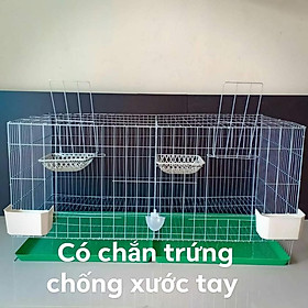 Hình ảnh Chuồng nuôi Bồ câu sinh sản loại Đặc Biệt , bao gồm đầy đủ phụ kiện