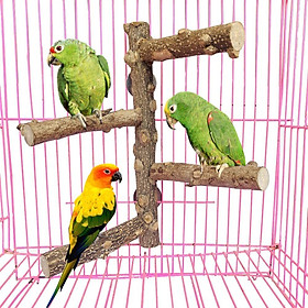 Bird Perches Chew Bite Toys Claw Grinding Tree Branch Rack Cage Accessories