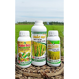 Mua COMBO PHÂN BÓN ĐÓN ĐÒNG ĐẾN THU HOẠCH TRÊN LÚA - 01 CHAI KABO 500ML + 01 CHAI SIÊU VÔ GẠO 500ML + 01 CHAI CHẮC HẠT 1L (SỬ DỤNG 5.000M2)