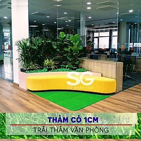 Mua CỎ NHÂN TẠO 1 CM - THẢM CỎ SÂN VƯỜN | CỎ NHÂN TẠO SG
