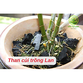 Mua Than củi trồng lan đã qua xử lý bịch 0.5kg