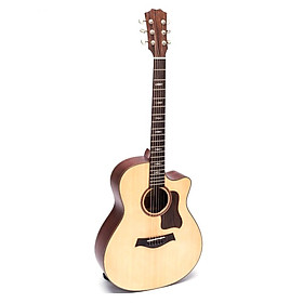 Hình ảnh Đàn guitar acoustic DT420 có cẩn note