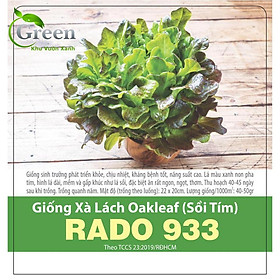 Mua Hạt Giống Xà Lách Oakleaf Sồi Tím