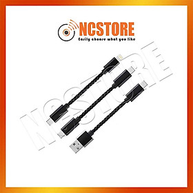 Mua  NC  Cáp OTG JCALLY OT04 Type C / USB 2.0 Đa Năng Cho DAC Shanling / FiiO / Hiby / Jcally / Moondrop / Whizzer / IKKO | Hàng chính hãng