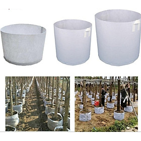 10 Túi vải địa có 2 quai xách trồng cây KT30x30 - Tiện sử dụng, bền, đẹp, tái sử dụng