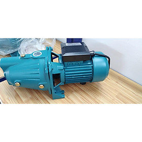 Mua Máy Bơm Nước Đầu Lợn 1hp