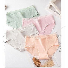 Combo 4 Quần lót nữ Cotton thời trang  QL 8135