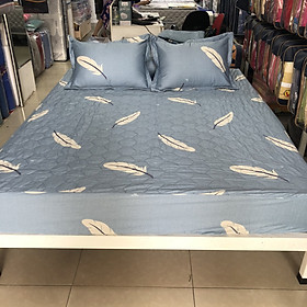 Bộ ga chun chần 120x190 Sông Hồng chất cotton