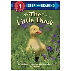 The Little Duck