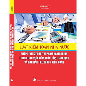 Luật Kiểm Toán Nhà Nước, Pháp Lệnh Xử Phạt Vi Phạm Hành Chính Trong Lĩnh Vực Kiểm Toán, Lập, Thẩm Định Và Ban Hành Kế Hoạch Kiểm Toán