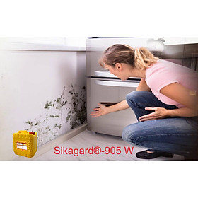 Mua  5lit  Chống thấm không màu trong suốt tạo độ cứng có thể thi công chống thấm ngược trong nhà và ngoài trời chống sự hình thành rêu mốc sikagard905