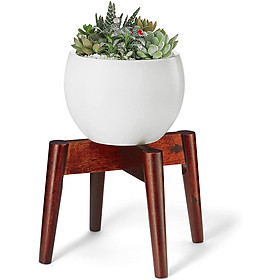 Mua Đôn Gỗ Nhỏ  Giá Kệ Đế Đỡ Chậu Hoa - Phong cách Mid-Century - Cao 19 cm x Rộng 24 5 cm