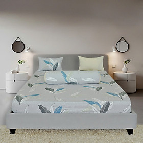 Bộ drap gối cotton phối màu Hometex - C