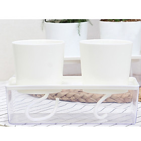 Chậu khay đôi cây cảnh mini để bàn A101