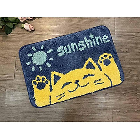 Mua Thảm chùi chân lông 40x60 - SUNSHINE - TCC49601